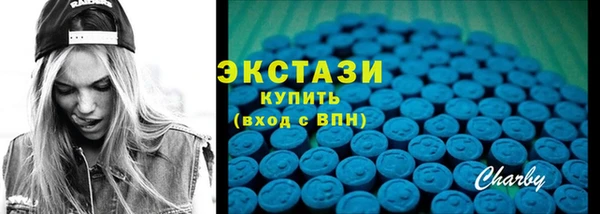 индика Богородицк