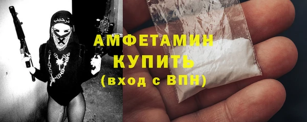 индика Богородицк