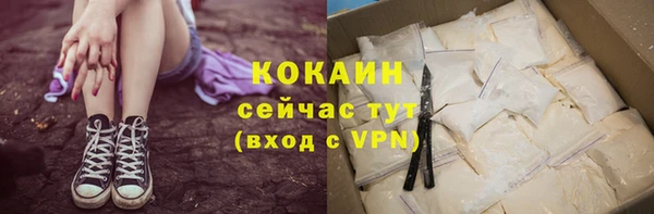 индика Богородицк