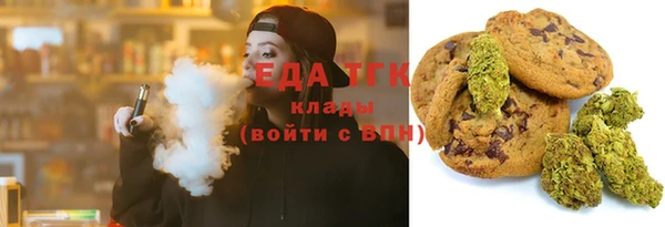 индика Богородицк