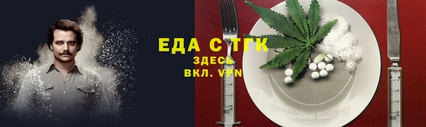 индика Богородицк