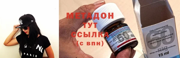 индика Богородицк