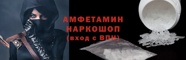 индика Богородицк