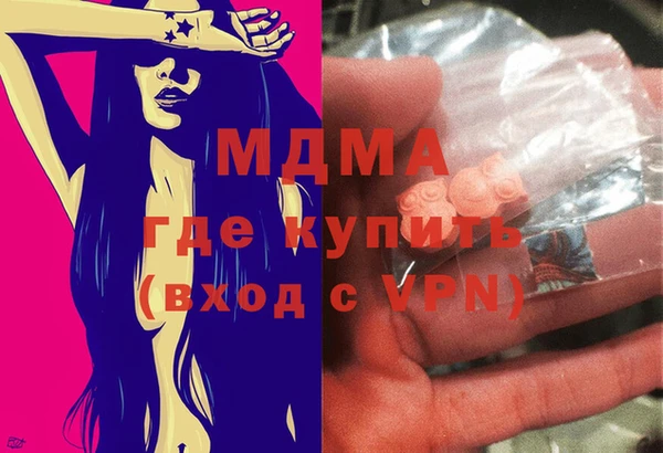 индика Богородицк