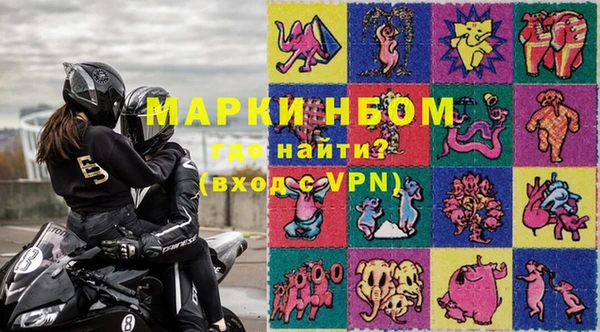 индика Богородицк