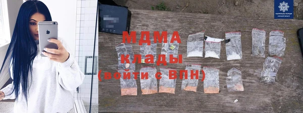 индика Богородицк