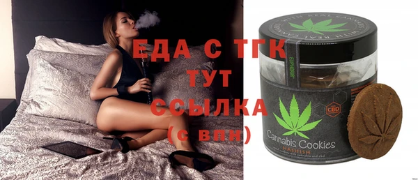 индика Богородицк