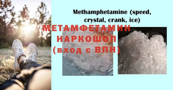 индика Богородицк