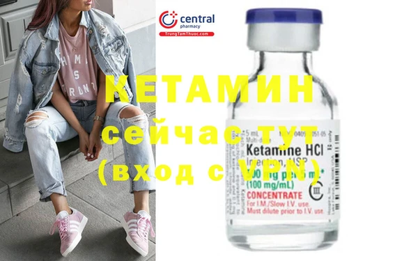 индика Богородицк