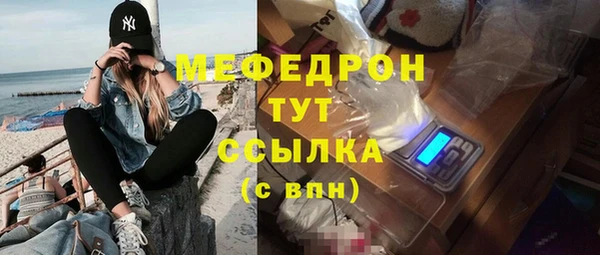 индика Богородицк